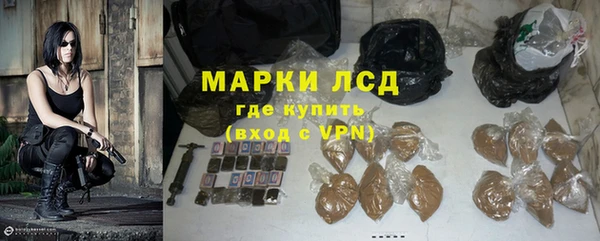 амф Аркадак