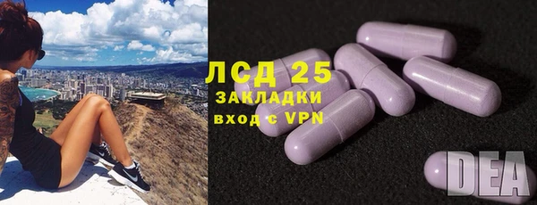 амф Аркадак